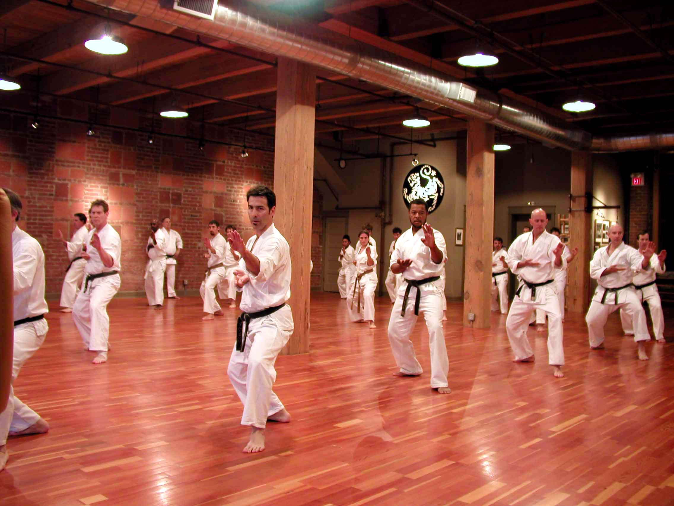 Kansas City Shotokan Karate Club – Kansas City, Missouri – Official SKA